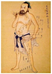 Acupuncture Meridian Man Acupuncture Meridian Man