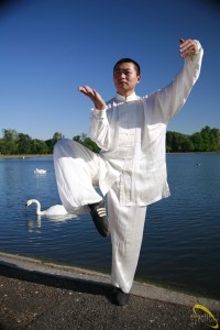 Kung Fu and Tai Chi Kung Fu and Tai Chi