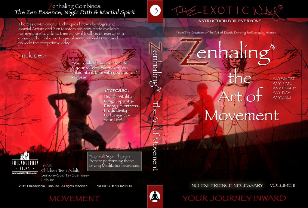 Zenhaling DVD #3 The Art of Movement featuring moves with the Z-STICK. 