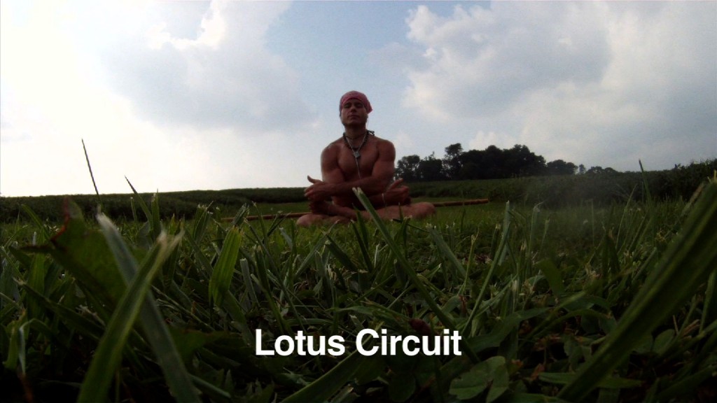 Lotus Circuit Exercise helps to activate the Microcosmic Orbit.