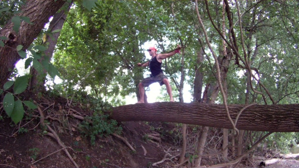 Yoga Balance Training on Fallen Tree at Valley Forge Park Yoga Balance Training on Fallen Tree at Valley Forge Park